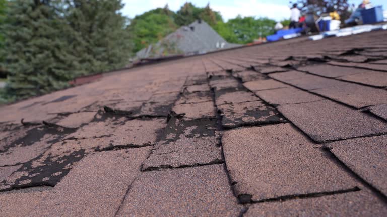 Best Rubber Roofing (EPDM, TPO)  in Hampton Beach, NH